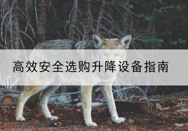 广德升降货梯厂家推荐-*安全选购升降设备指南