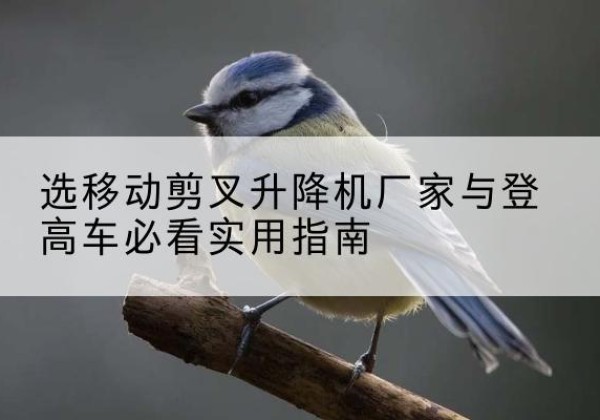 广德电动升降机厂家-选移动剪叉升降机厂家与登高车必看实用指南