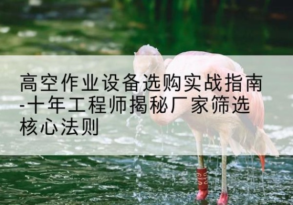 广德剪叉式升降机厂家-高空作业设备选购实战指南-十年工程师揭秘厂家筛选核心法则