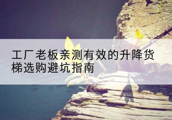 广德升降货梯怎么选-工厂老板亲测有效的升降货梯选购避坑指南